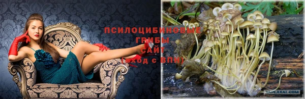 мдпв Армянск